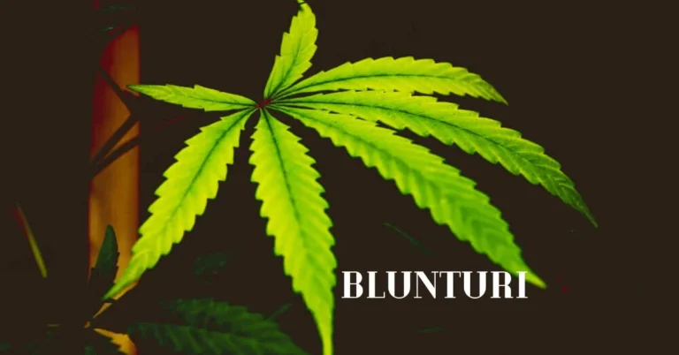 Blunturi